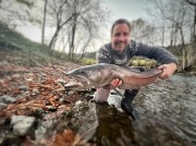 Hucho sava river winter